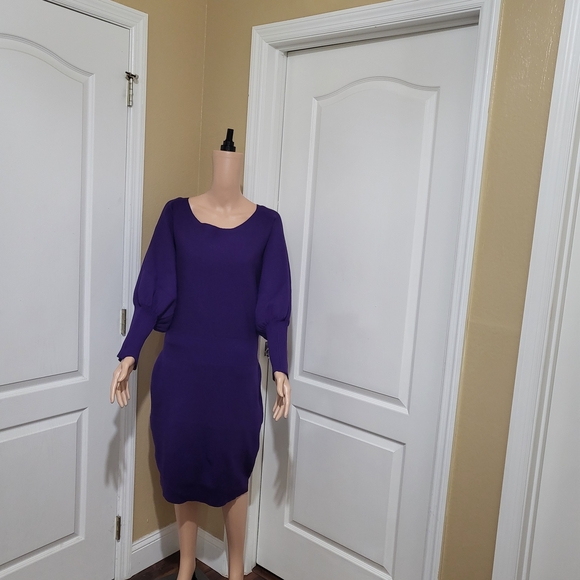None Dresses & Skirts - Elegant‎ Purple Women's Dress This Dress  is pre-owned